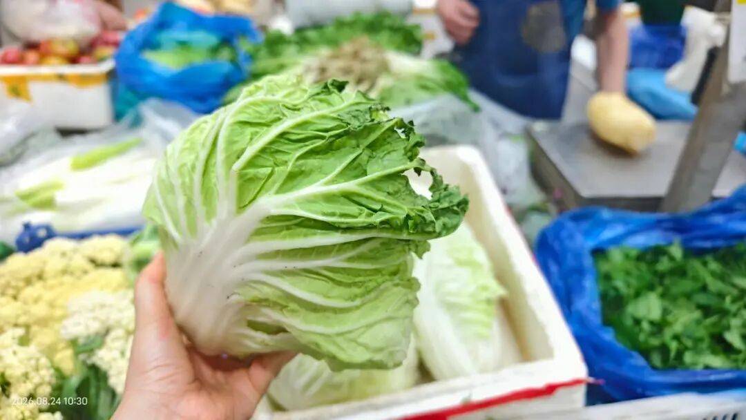 南京全城排查“甲醛白菜”！菜場老師傅40年買菜秘訣，趕緊收藏
