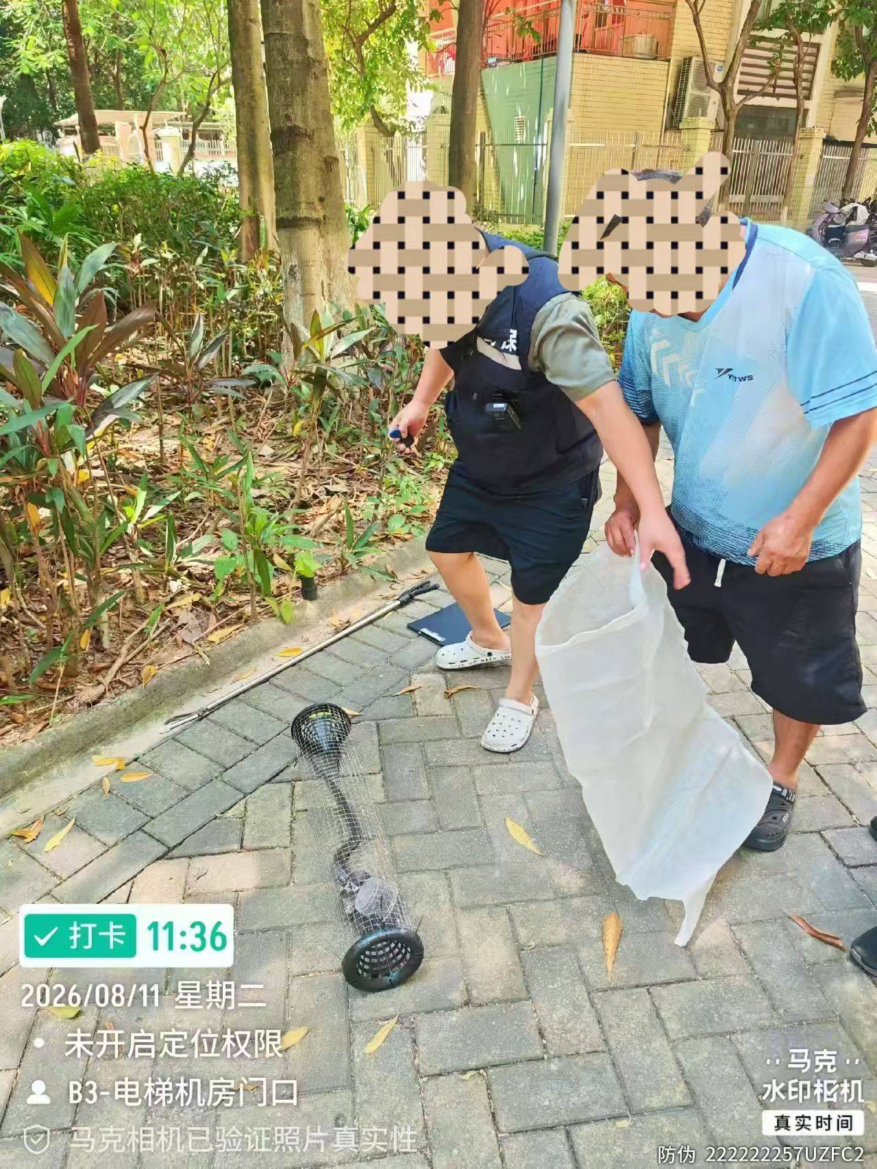 廣州一小區頻繁出現眼鏡蛇？市野保辦：清理雜物讓蛇主動撤離｜粵政通