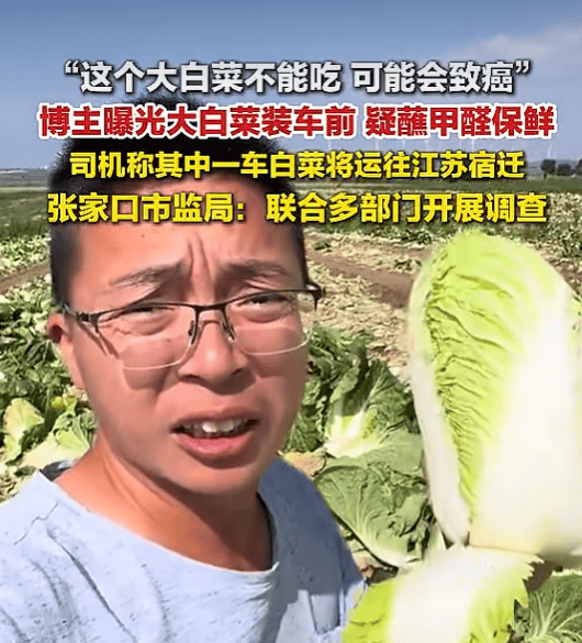南京全城排查“甲醛白菜”！菜場老師傅40年買菜秘訣，趕緊收藏