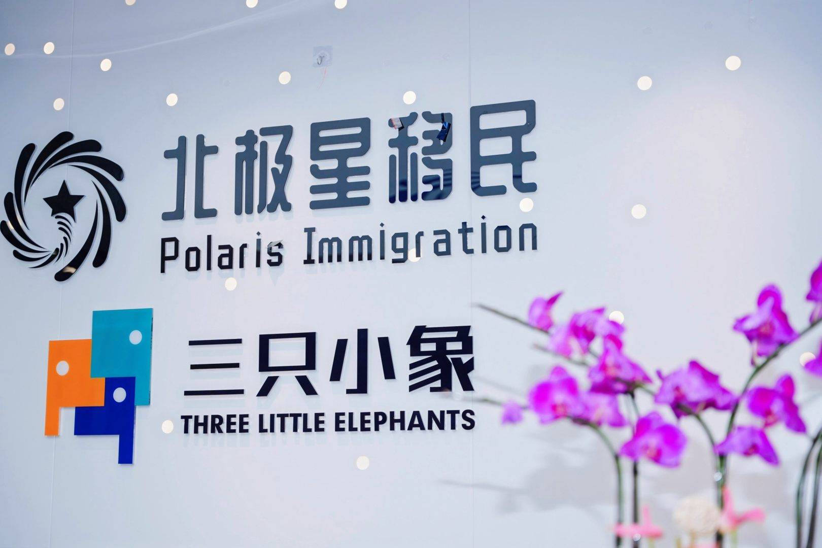 申請香港投資移民，哪些機構的經驗更靠譜？如何驗真