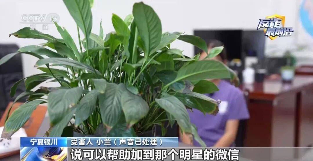 小學剛畢業的她為加“明星”微信，被連環套路了3萬多元……