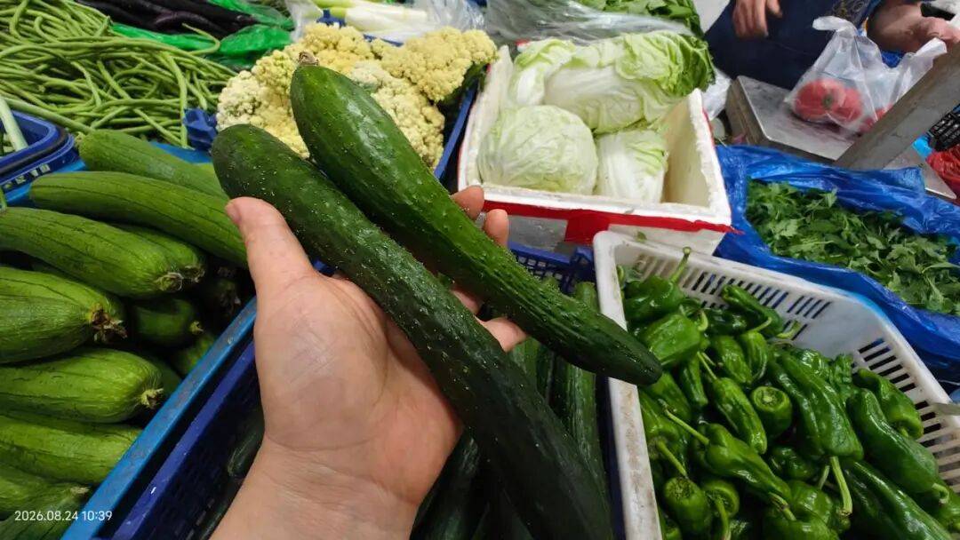 南京全城排查“甲醛白菜”！菜場老師傅40年買菜秘訣，趕緊收藏
