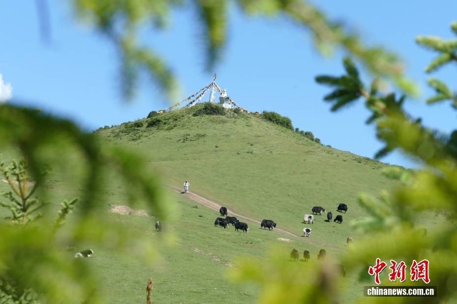 四川阿壩：松潘縣探索“民宿+旅遊”賦能鄉村振興
