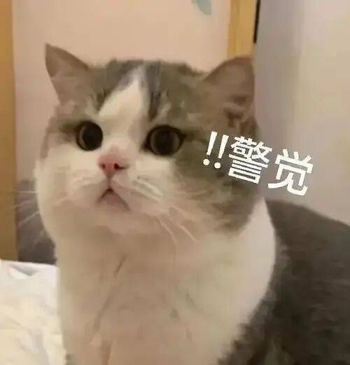 痛心！25歲中國留學生韓國遇害，兇手是老師？