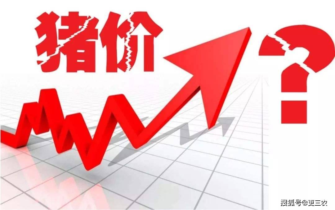 原創大跌4.8%，豬價“超預期”下跌！“地板線”是多少？附：8月28日豬價
